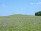 Jaj-halom