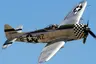 P-47D Thunderbolt P-47D Thunderbolt