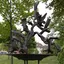Vogelbrunnen Vogelbrunnen
