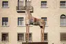 Il Cavallo