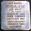Hertha Levy