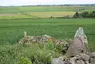 Hill of Fiddes stone circle Hill of Fiddes stone circle
