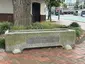 Horse trough