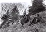 Democratic Army of Greece