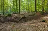 Siekholzer Schanze