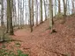 Wallburg Ambrock