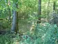 Motte Schwanenmühle