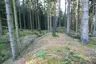 Wallburg Bollberg