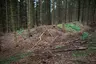Wehranlage Bomhof