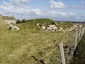 Thrumster Little Broch
