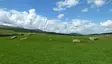 Holm Of Daltallochan Stone Circle