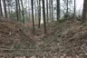 Burg Mohrenstetten