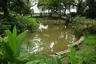 Zhongzheng Park Zhongzheng Park