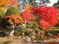 Hirosaki Park Hirosaki Park