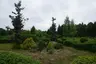 Клесівський дендропарк Клесівський дендропарк
