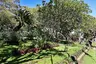 Municipal Garden of Funchal