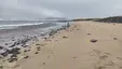 Playa Baja del Ganado