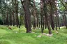 Canadian National Vimy Memorial Park