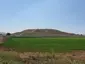 Tel Hanaton