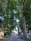 Parco Renzo Rivolta Parco Renzo Rivolta