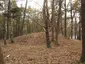 Grabhügelfeld von Bonstorf