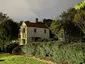 Cambria Park Homestead