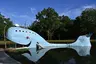 Blue Whale