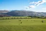 Elva Plain Stone Circle