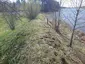 Pelekonių I piliakalnis