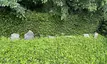 Jüdischer Friedhof Jüdischer Friedhof