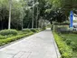 Sheung Shing Street Park