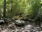 Nora's Woods
