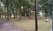 Devine Park