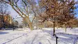 Vasaparken, Uppsala Vasaparken, Uppsala