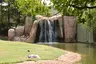 Montgomery Zoo