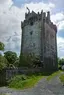 Caher Castle Caher Castle
