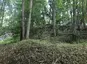 Kaiserburg