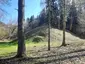 Pelekonių II piliakalnis