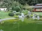 Bonsai Museum