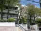 妙光寺