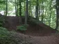 Burgstall Burgselberg