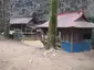 八王子神社