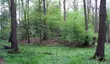 Motte Wiebershausen/Niederscherf