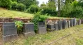 Jüdischer Friedhof Jüdischer Friedhof