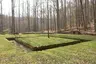 Bear pit