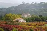 Igrexa de San Xoán de Barbadás Igrexa de San Xoán de Barbadás