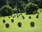 Ehrenfriedhof Elberfeld