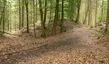 Alte Schanze (Oyle)
