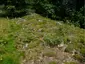 Oppidum Milseburg