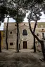 Immacolata